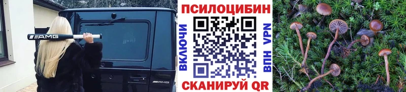 Галлюциногенные грибы GOLDEN TEACHER  Мариинский Посад 